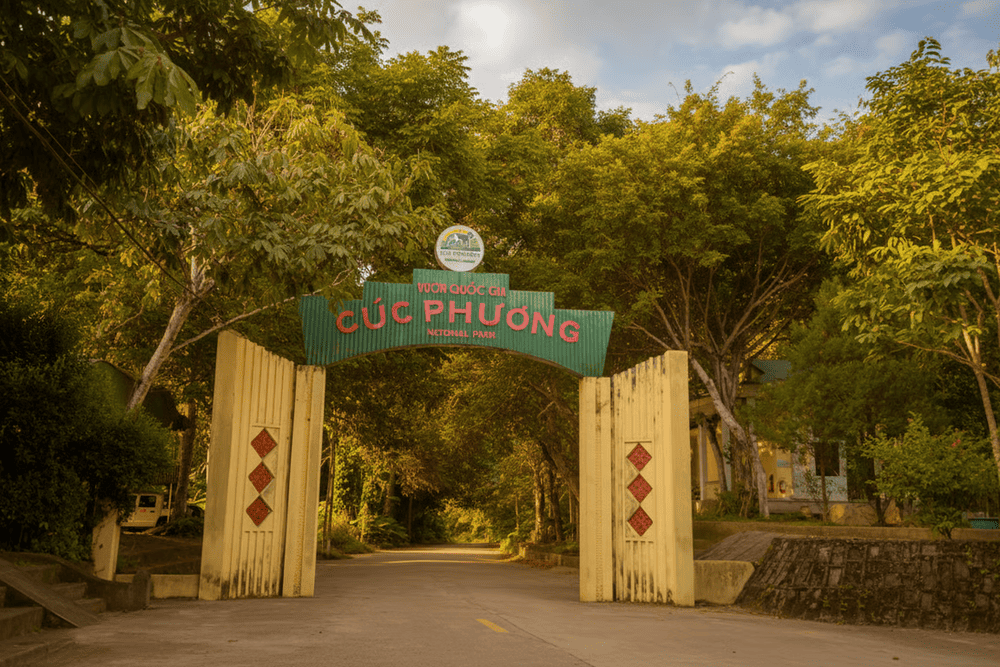 When you come to Cuc Phuong National Park, you will be immersed in a poetic natural space